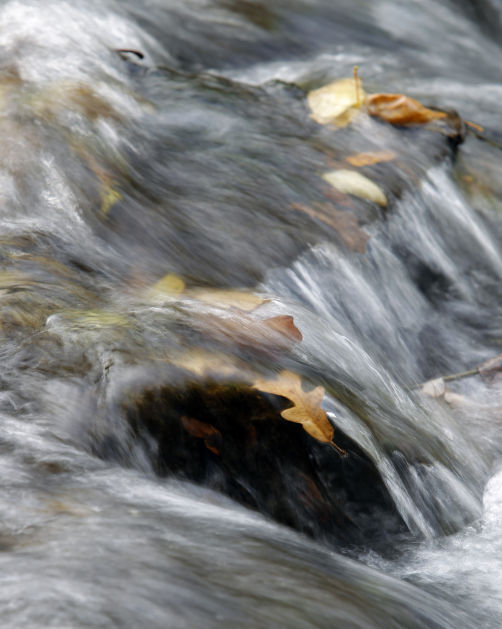 101314bp-fall-color-package-09